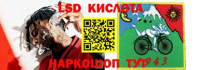 шишки Аша