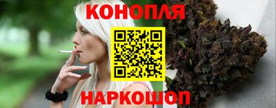 шишки Аша