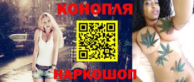шишки Аша