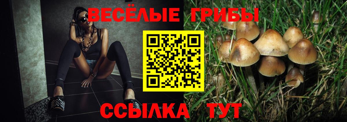 Галлюциногенные грибы Cubensis Гулькевичи