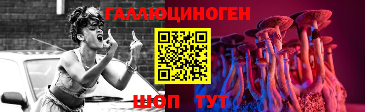 Псилоцибиновые грибы Гулькевичи